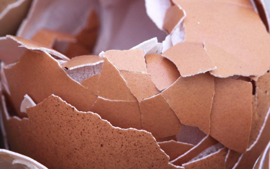 What Does it Mean to “Walk on Eggshells?”