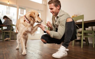 One Way to Improve Your Dogs Behavior: Focus on Your Own Mental Health