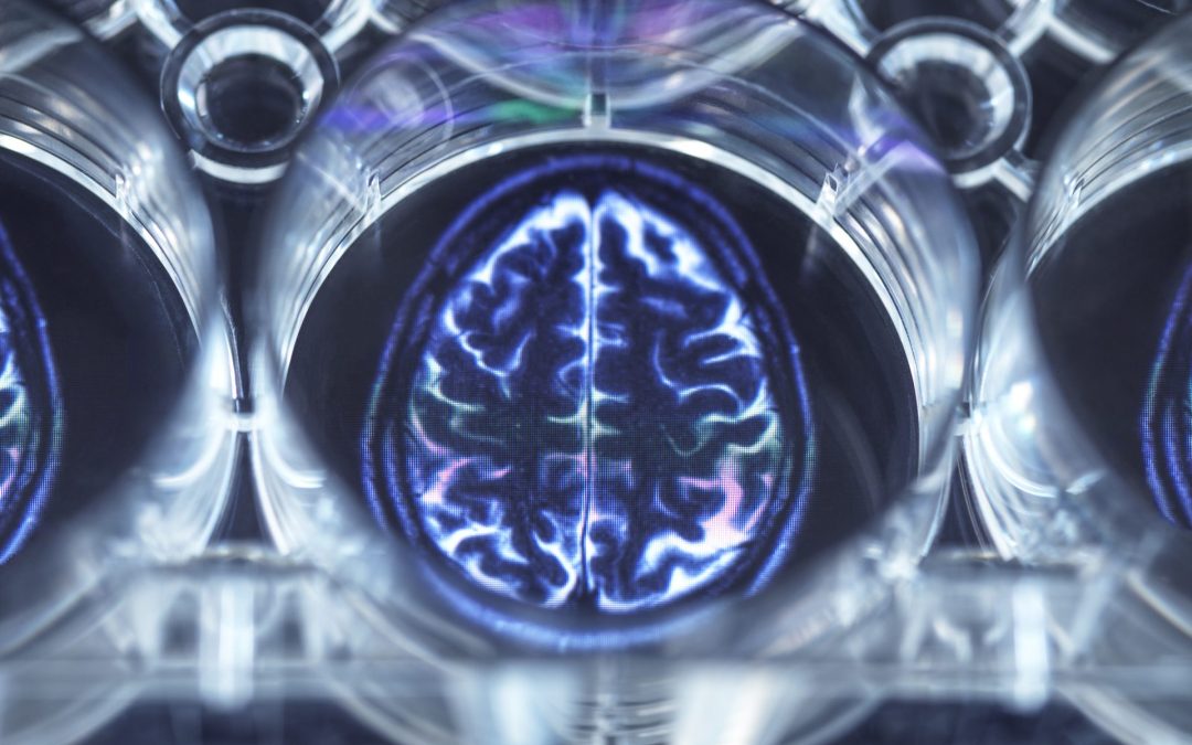 What Is the Science That Causes Anxiety and Depression to Develop?