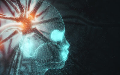 How Some Panic Attacks May Be Explained by Polyvagal Theory